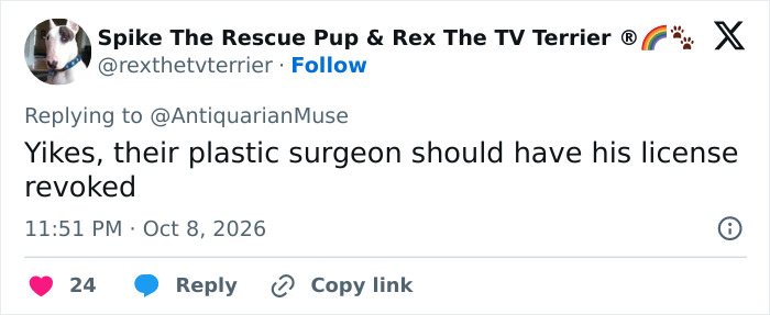 Tweet discussing plastic surgeons, relevant to Susan Dell's Transformation.