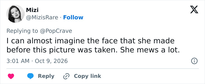 A social media post with user commentary regarding Rachel Zegler mewing photo trend.