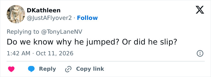 A tweet questioning the bizarre behavior of the man before entering the tiger enclosure.