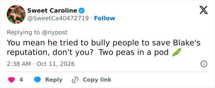 A social media user commenting on Ryan Reynolds protecting Blake Lively after celebrity texts leaked. A social media user commenting on Ryan Reynolds protecting Blake Lively after celebrity texts leaked.