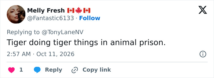 A social media post discussing a tiger enclosure after a man entered it.