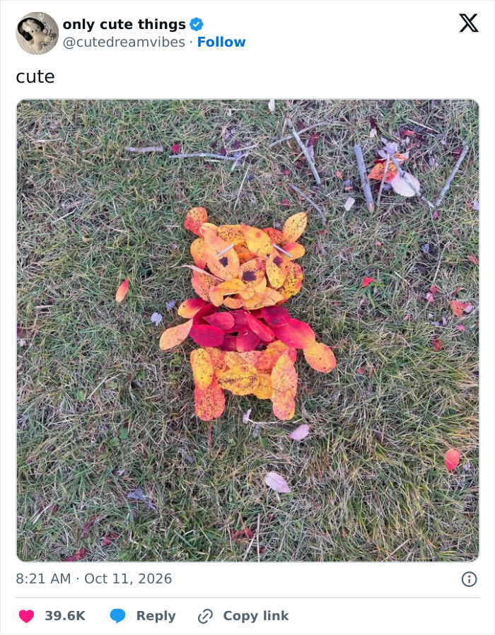 Creative animal figure made from colorful leaves on grass for adorable little things