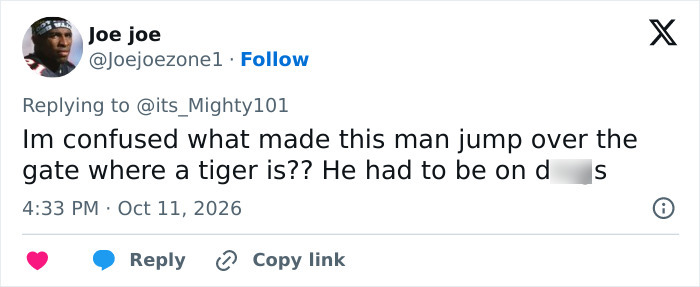 Social media post questioning the bizarre behavior of entering a tiger enclosure.