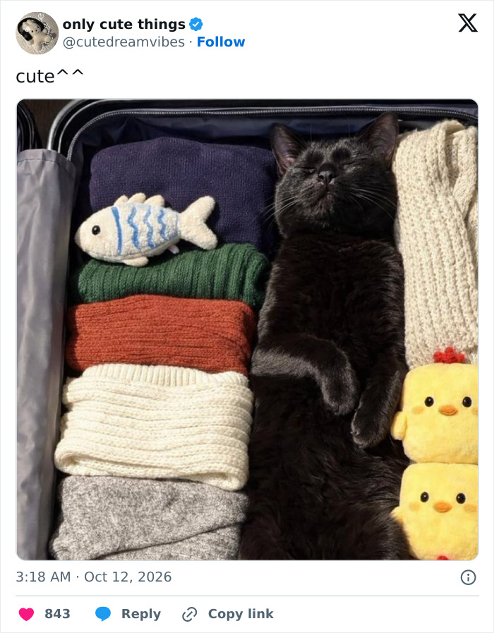 Black cat lying comfortably in suitcase surrounded by clothes and plush toys