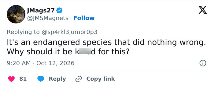 Comment arguing an endangered species should not be k****d after a man&rsquo;s final moments at tiger enclosure.