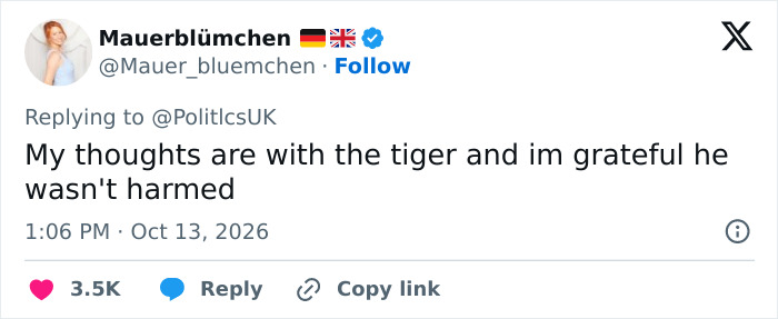 Chilling Posts From Mom Of Former Child Actor Who Entered Tiger Enclosure Raise Questions After Fatal Incident Chilling Posts From Mom Of Former Child Actor Who Entered Tiger Enclosure Raise Questions After Fatal Incident