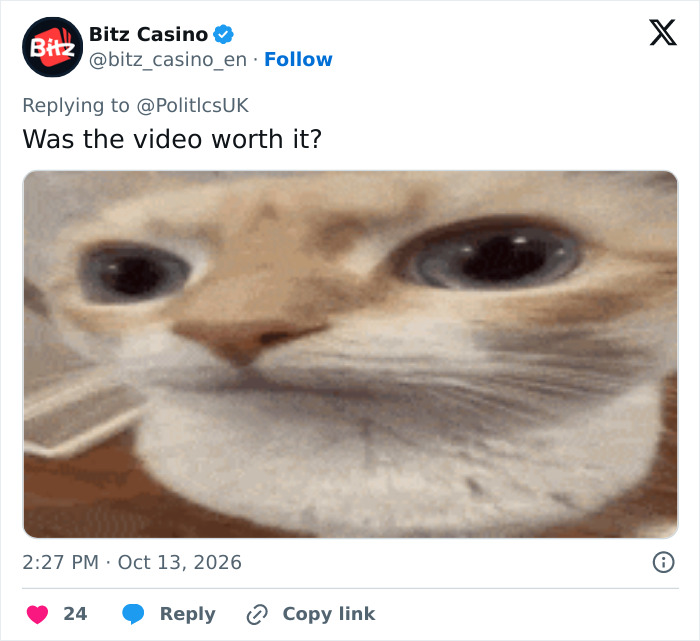 An image with a cat meme posted as a response to the news about a man fatally mauled by tiger. An image with a cat meme posted as a response to the news about a man fatally mauled by tiger.