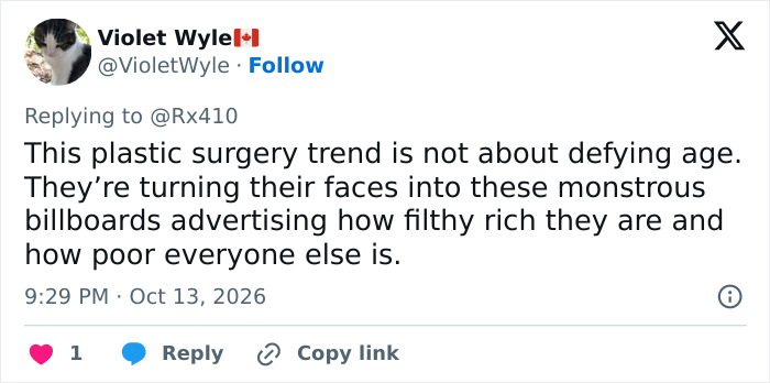 Tweet criticizing plastic surgery trends linked to MAGA face look Tweet criticizing plastic surgery trends linked to MAGA face look