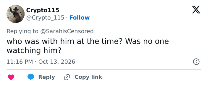 Tweet questioning supervision during tragic tiger enclosure incident Tweet questioning supervision during tragic tiger enclosure incident