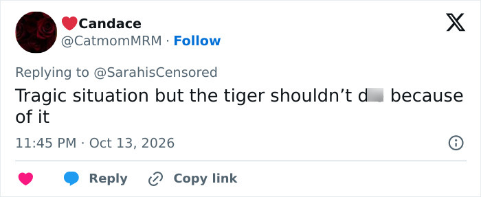 Tweet discussing tragic situation involving tiger enclosure incident Tweet discussing tragic situation involving tiger enclosure incident