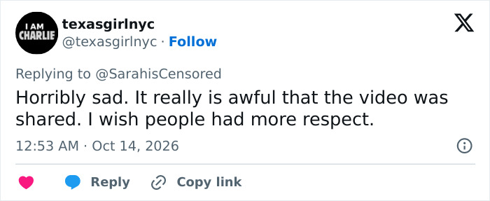 Tweet expressing sadness about video of tiger enclosure incident Tweet expressing sadness about video of tiger enclosure incident