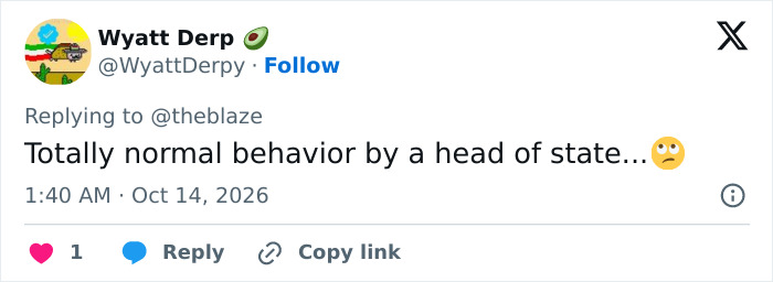 Tweet questioning normal behavior of head of state after tiger video, reflecting MAGA opposition Tweet questioning normal behavior of head of state after tiger video, reflecting MAGA opposition