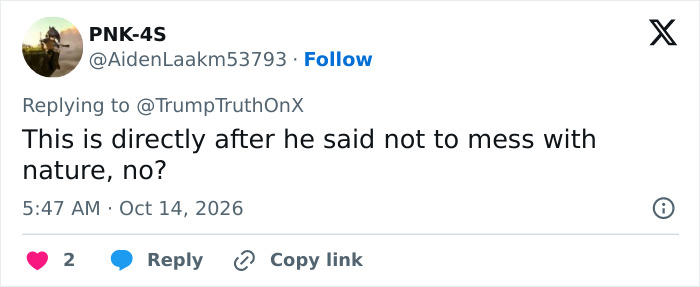 Tweet reacting to tiger video, mentioning not to mess with nature, related to MAGA response Tweet reacting to tiger video, mentioning not to mess with nature, related to MAGA response