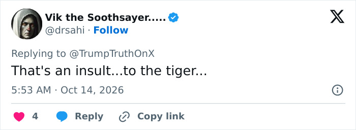 Tweet calling tiger video an insult to the tiger amid MAGA backlash Tweet calling tiger video an insult to the tiger amid MAGA backlash