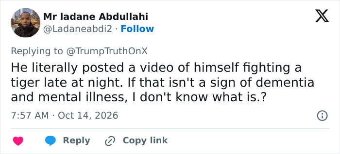 Tweet criticizing Trump for posting a tiger video, questioning his mental health Tweet criticizing Trump for posting a tiger video, questioning his mental health