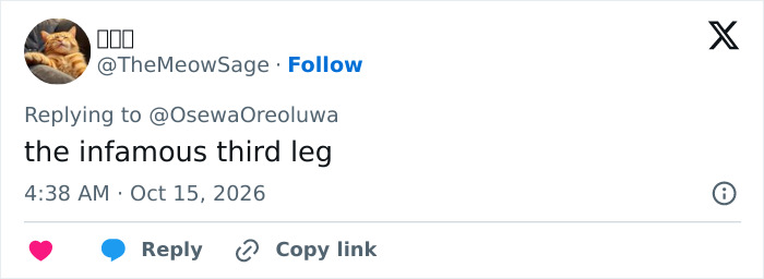 Tweet comment referencing Shaquille O'Neal's infamous third leg Tweet comment referencing Shaquille O'Neal's infamous third leg