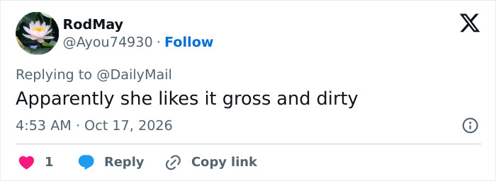Tweet stating she likes it gross and dirty with reference to Dakota Johnson Tweet stating she likes it gross and dirty with reference to Dakota Johnson