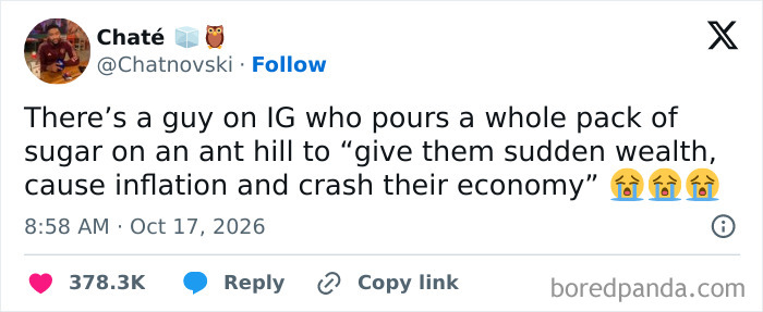 A post shared online among hilarious tweets about giving sugar to ants