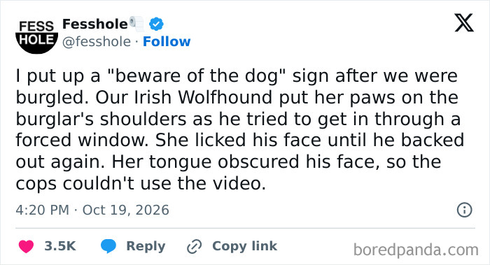 A screenshot of one of the anonymous confessions about a dog who licked a burglar.