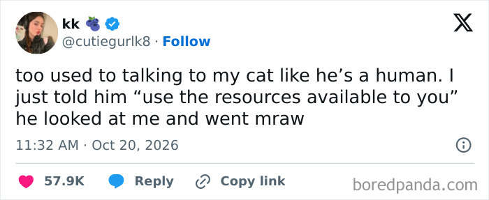 One of the hilarious tweets shared this October by user kk about talking to her cat like a human.