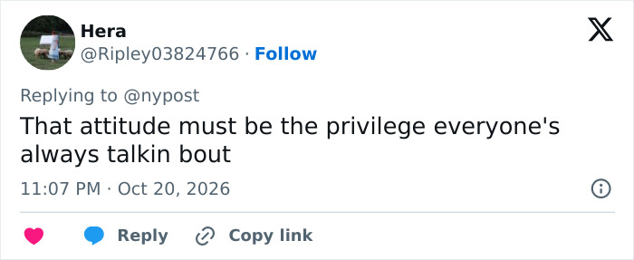 Social media comment calling out privilege related to an influencer involved in France riots controversy