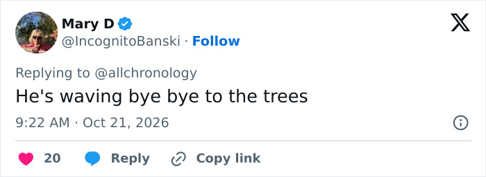 Screenshot of a tweet by user Mary D commenting on Trump waving at nobody outside Screenshot of a tweet by user Mary D commenting on Trump waving at nobody outside