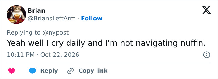 Social media user commenting on crying daily regarding Kristen Bell article
