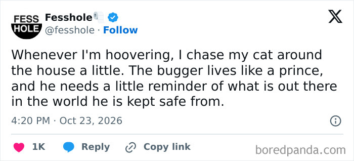 Anonymous confessions about chasing a cat with a vacuum cleaner to remind it of the outside world.