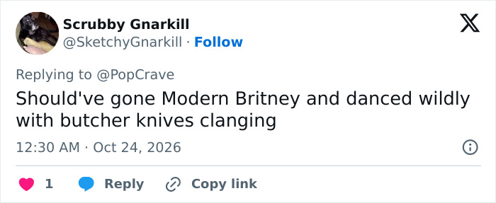 A user comment offering satirical advice regarding Paris Hilton's photoshoot style.