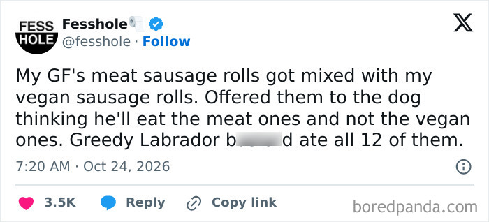 Anonymous confessions about a dog eating both meat and vegan sausage rolls.