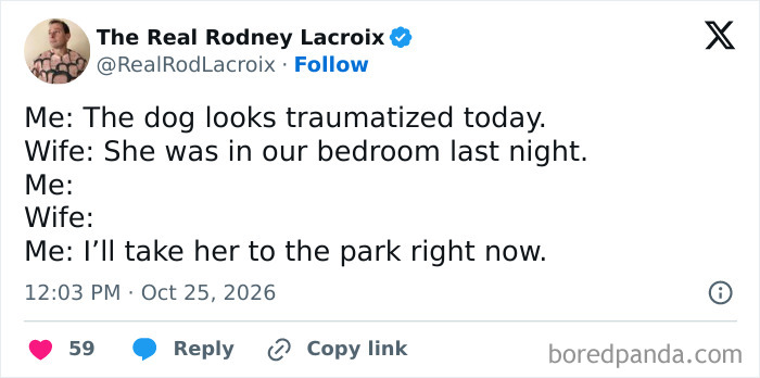 One of the hilarious tweets about a husband realizing why his dog looks traumatized