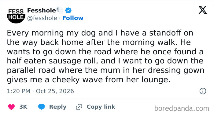 Post sharing anonymous confessions about morning dog walks, sausage rolls, and a neighbor in a dressing gown.