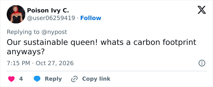A social media post from a fan discussing Taylor Swift and carbon footprint issues A social media post from a fan discussing Taylor Swift and carbon footprint issues