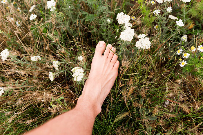 A bare foot stepping into wild grass and flowers, illustrating stories told by healthcare workers.