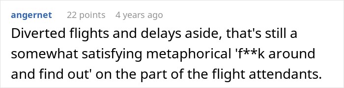 Screenshot of a comment about flight attendants after a flight diverted due to an unruly passenger. Screenshot of a comment about flight attendants after a flight diverted due to an unruly passenger.