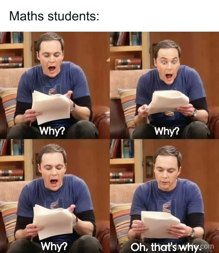 Four-panel meme of Sheldon Cooper repeatedly asking why, from amusing physics posts about math students.