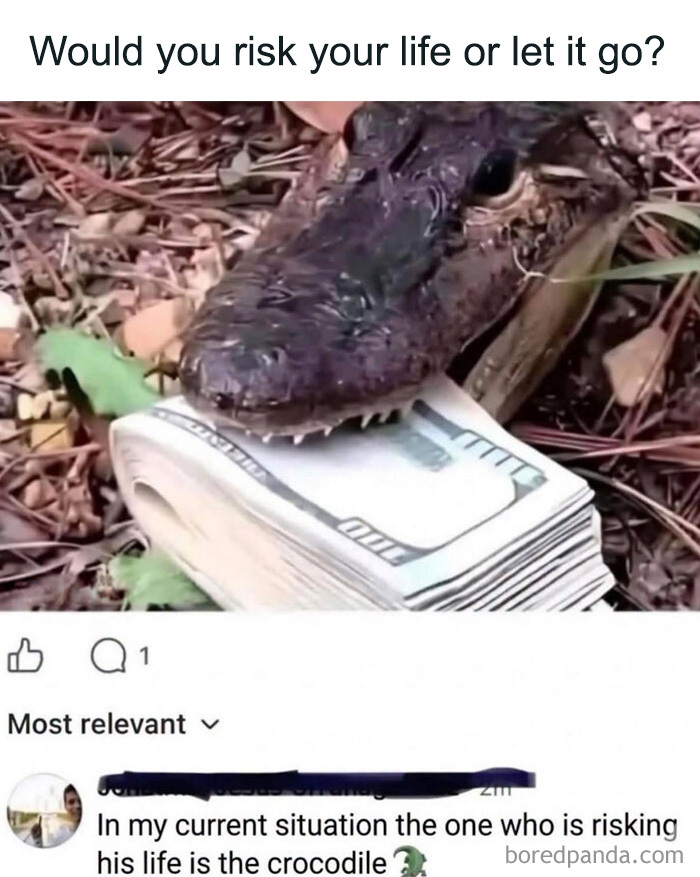 Edgy memes of a crocodile holding a stack of cash with a humorous comment about risking life