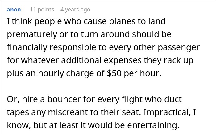 An online comment suggesting penalties for passengers who cause a flight diverted incident. An online comment suggesting penalties for passengers who cause a flight diverted incident.