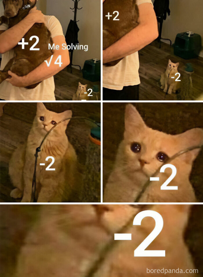 Humorous math meme showing someone favoring positive roots over negative ones, featured in physics posts.
