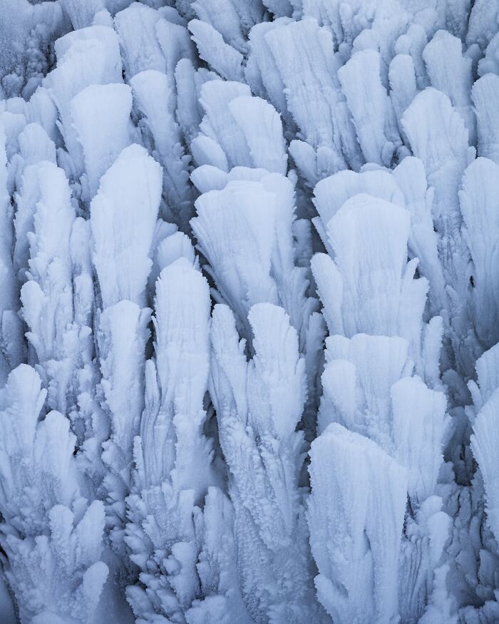 Detailed close-up of icy frost formations showcased in natural landscape photography.