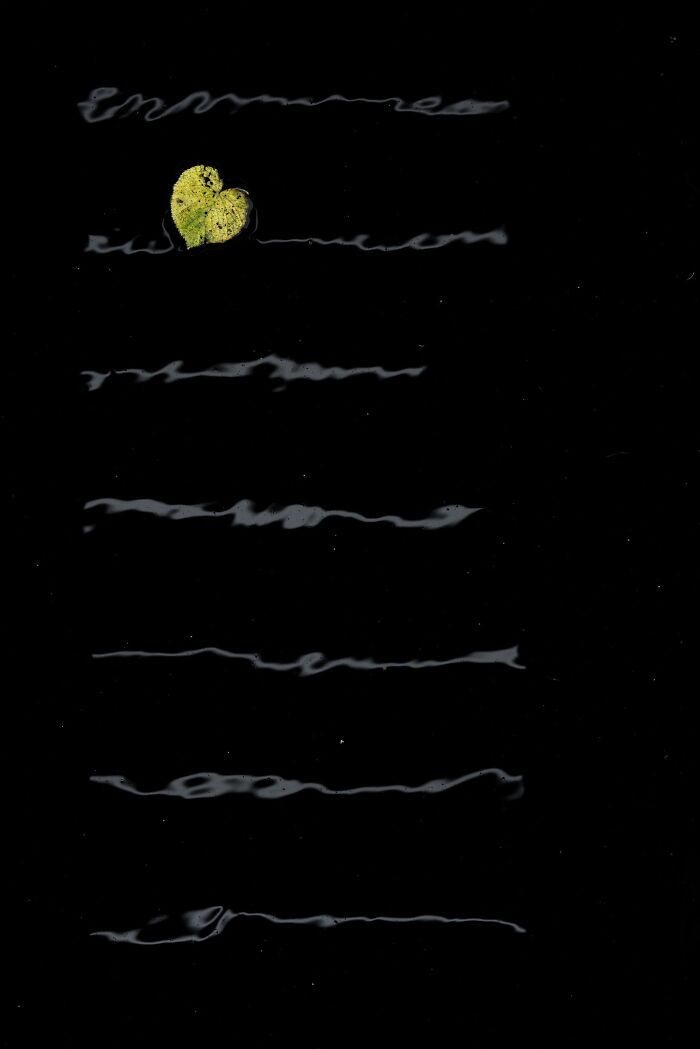 A single yellow leaf floating on dark water with light reflections in landscape photography