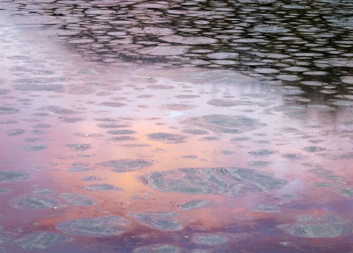 Circular ice formations patterns floating on colorful water in natural landscape photography