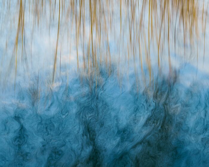 Abstract motion blur of water and vegetation from Natural Landscape Photography Awards 2026 entry