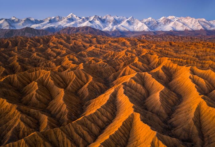 Aerial view of golden desert ridges set against snow-capped peaks in the 2026 Siena Drone Photo Awards.