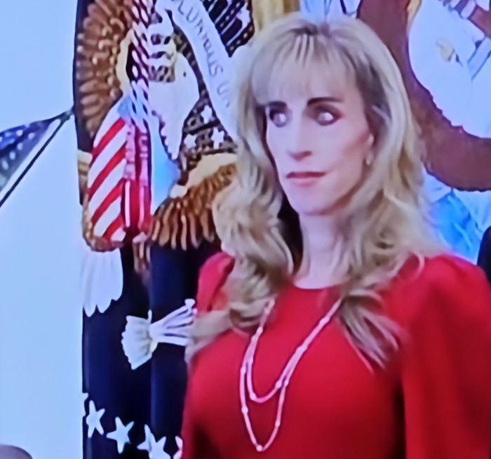 Blurry image of woman in red dress in front of presidential seal flags Blurry image of woman in red dress in front of presidential seal flags