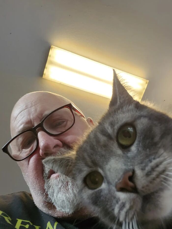 A low angle selfie of a man and his grey cat, showing life stories with pets.