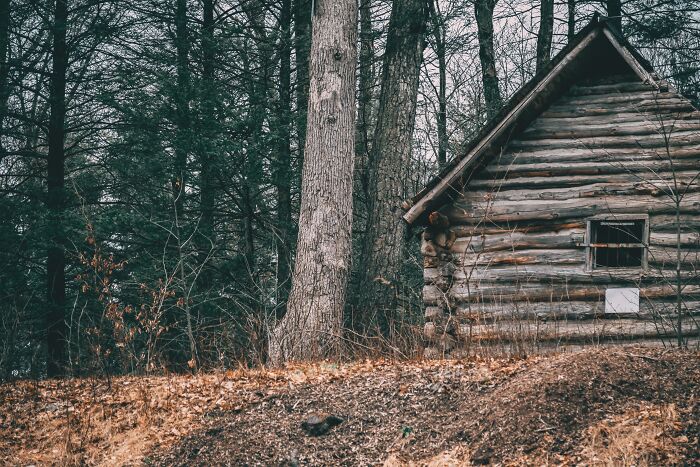48 Of The Most Unhinged Airbnb Stories People Experienced Themselves