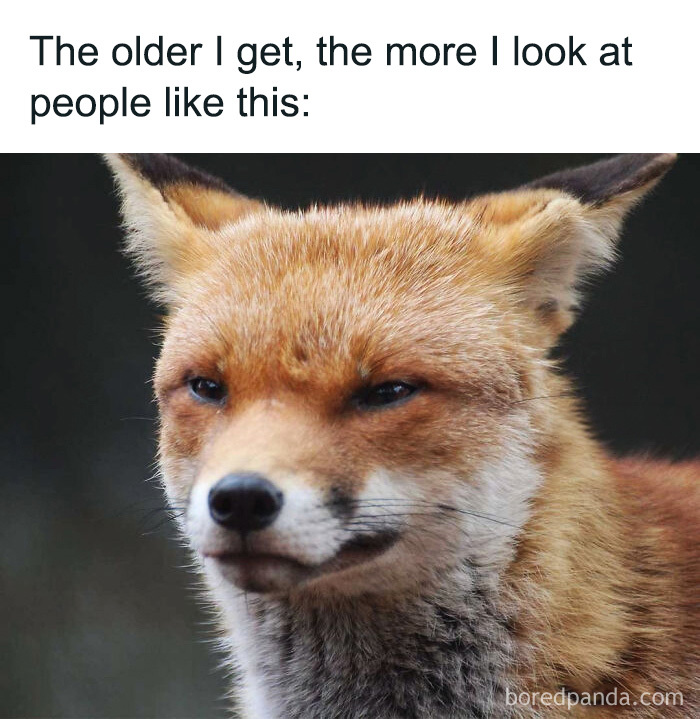 A skeptical fox squinting directly at the camera in a relatable animal meme about judging people with age.