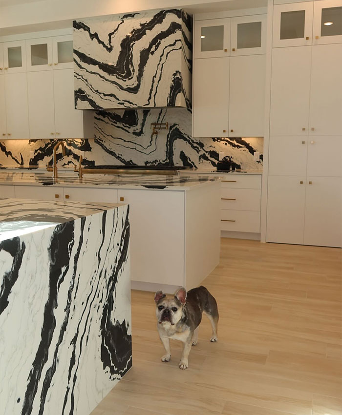Modern kitchen featuring black and white marble countertops in Simone Biles Texas home with a dog standing nearby.