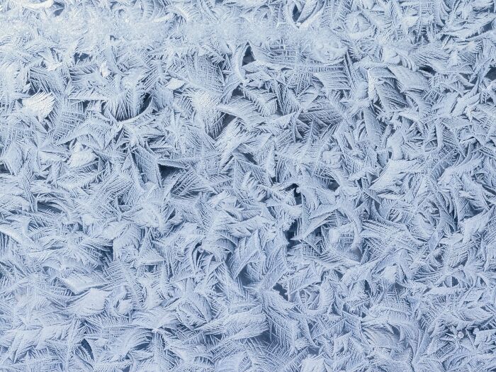 Natural landscape photography close-up detailing delicate icy frost patterns covering a surface in winter.